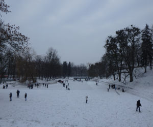Naturalne lodowisko w parku miejskim