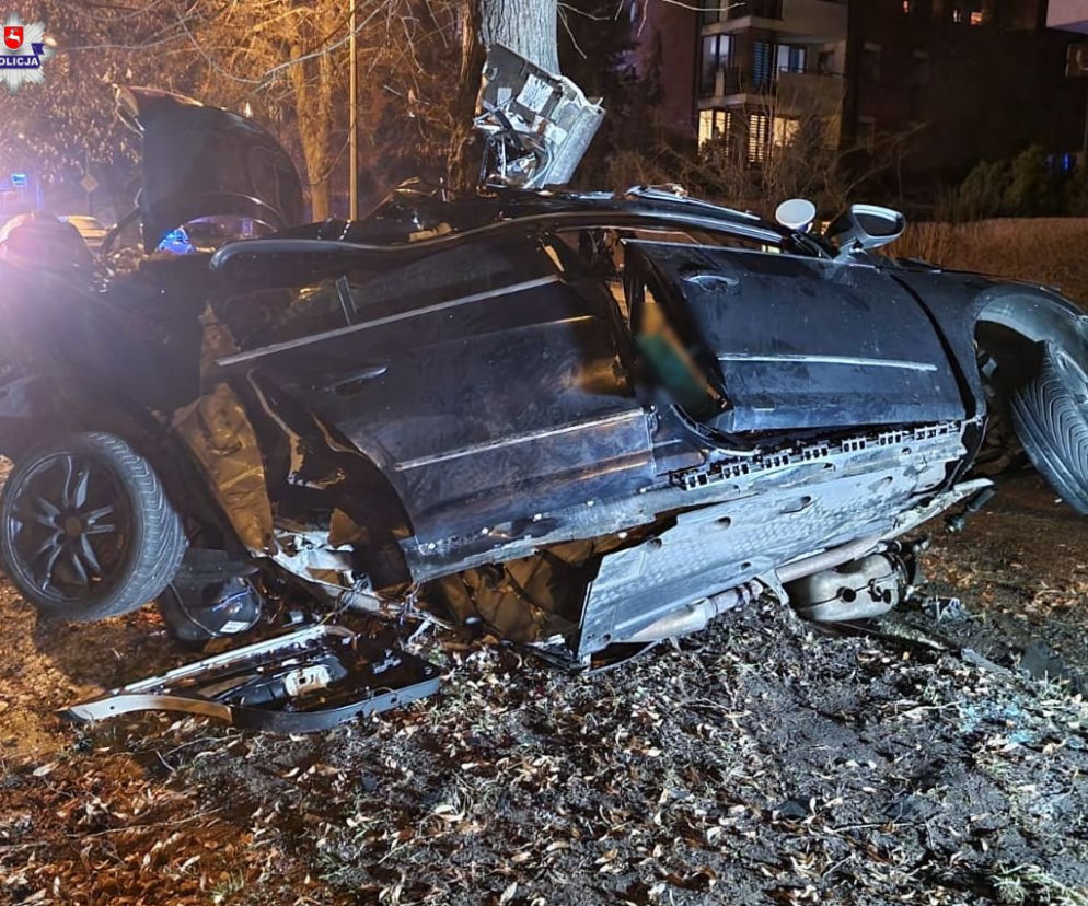 ZABILI SIĘ na drzewie. KOSZMAR na Glinianej w Lublinie. Dwie osoby nie żyją [ZDJĘCIA]