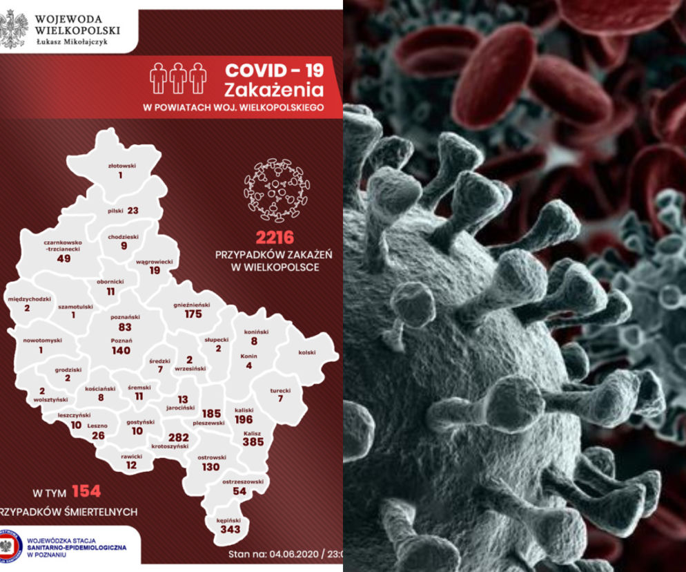 Koronawirus w Wielkopolsce. Zobacz, ile osób w regionie WYZDROWIAŁO