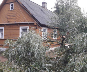 Skutki burzy w Krynkach. Złamany konar zerwał linię energetyczną i uszkodził auto
