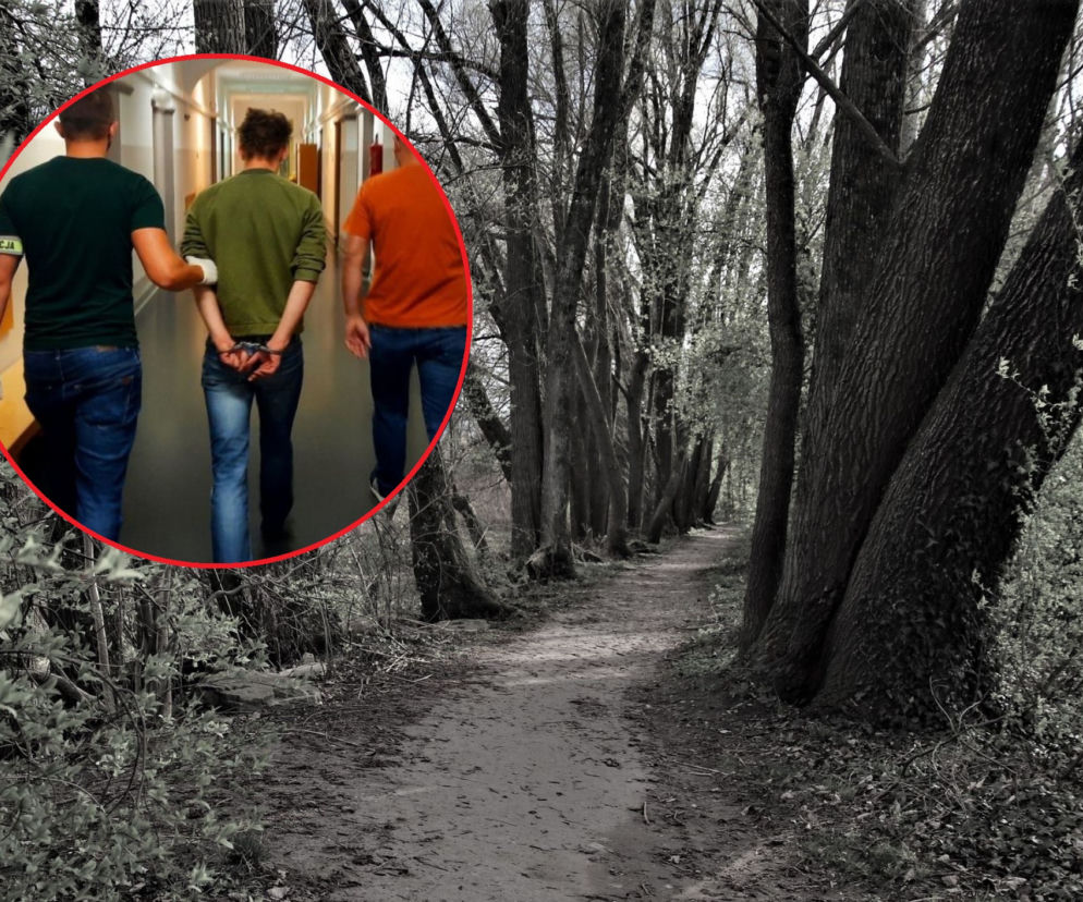 Horror w Opolu. Trzy dni akatował swoją ofiarę. Porzucił go w lesie, miał rozerwane jelita