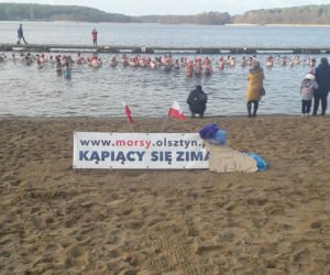 Olsztyńskie morsy nadal aktywne