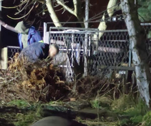 Potworna zbrodnia w Chełmie Śląskim. Zabił zaginionego Michała i przeciął na pół