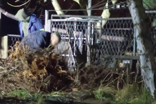 Potworna zbrodnia w Chełmie Śląskim. Zabił zaginionego Michała i przeciął na pół