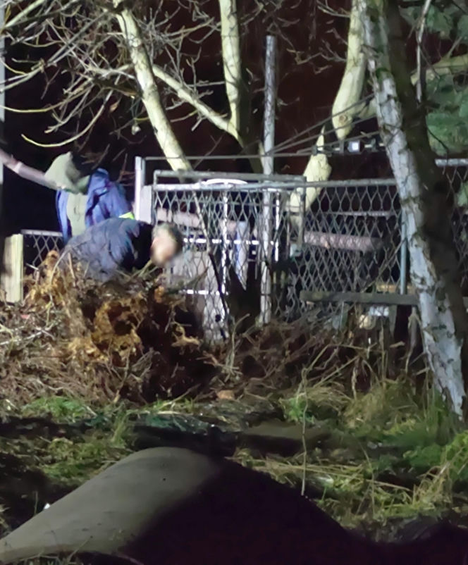 Potworna zbrodnia w Chełmie Śląskim. Zabił zaginionego Michała i przeciął na pół