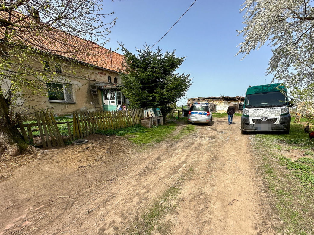 Pies zjadł narzędzie przestępstwa? Policja szuka kości, którą żona zraniła męża