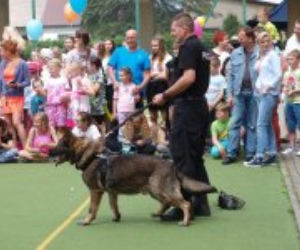 Tytan z Zawiercia przeszedł na emeryturę. Policjańci pożegnali czworonoga, który służył u nich 9 lat