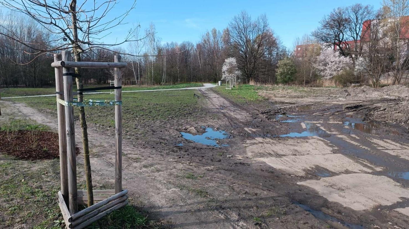 Miasto chwali się Parkiem Krzyckim. Na hucznym otwarciu mieszkańcy zastali plac budowy 