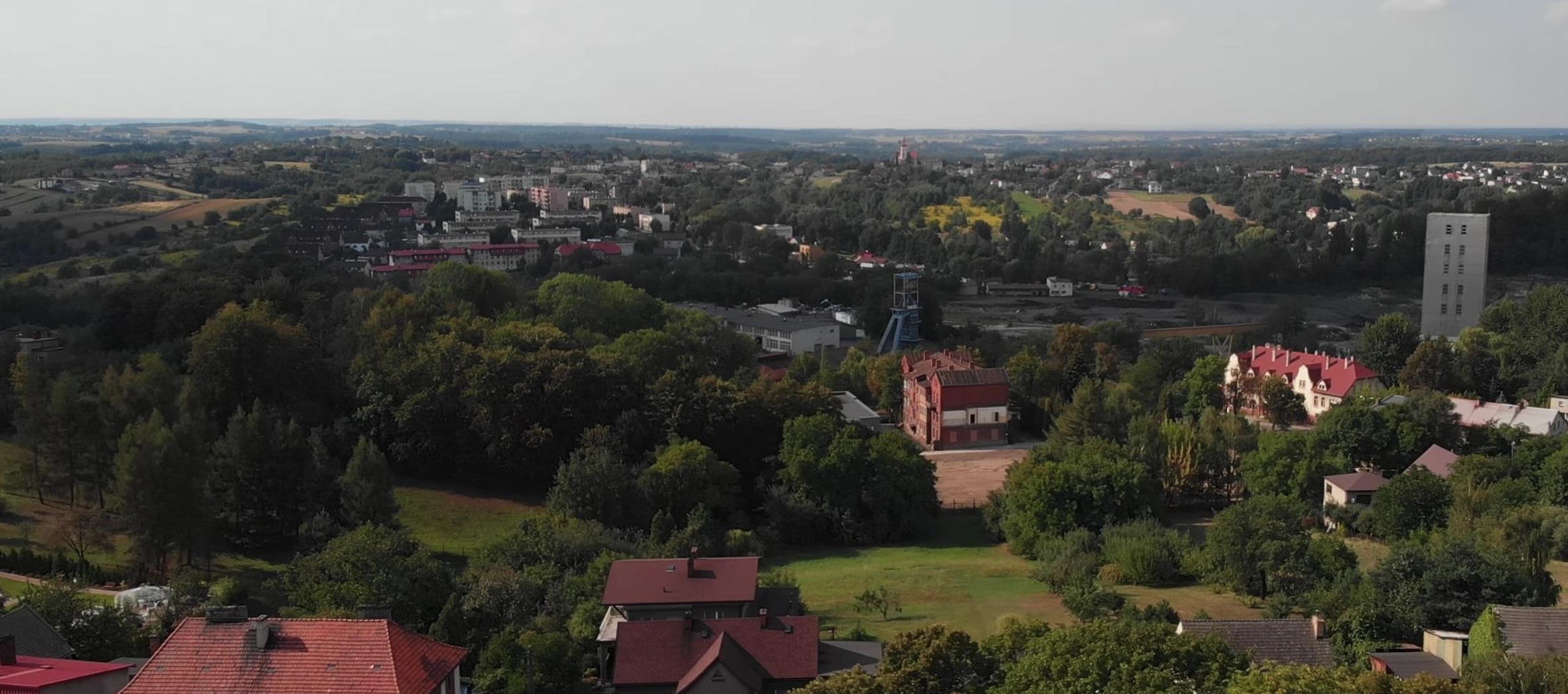 Pszów: Śląska Perła Pielgrzymkowa z Uśmiechniętą Madonną. Odkryj "Wieś Psów"
