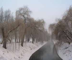 Najlepsze miejsca na spacer zimą w Śląskiem