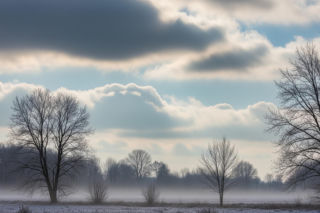 Myszków drży przed zimnem. Czy grudzień zaskoczy nas szokującą aurą?