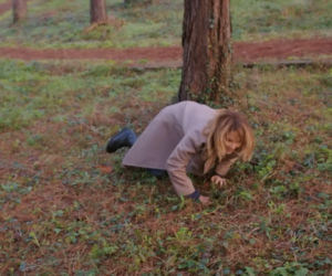 Miłość i nadzieja, odcinek 360: Feraye