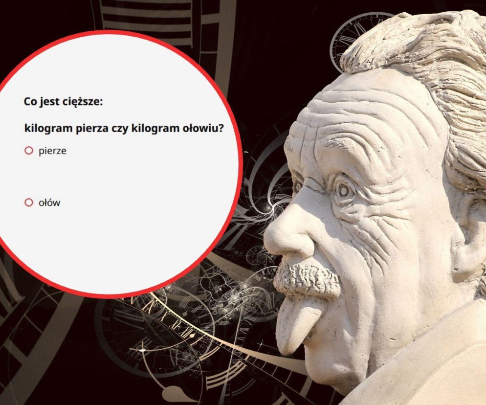 Pomnik Alberta Einsteina wystawiającego język. Obok miniatura z pytaniem quizowym. Rozwiąż test na szybkie myślenie w SE.