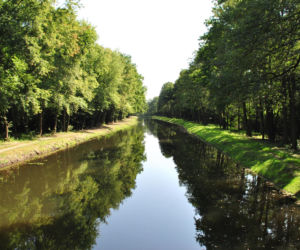 Jego nazwa miała powstać podczas polowania. To jedno z najpiękniejszych miast na Górnym Śląsku