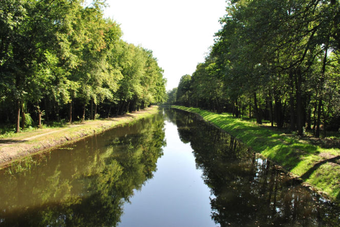 Jego nazwa miała powstać podczas polowania. To jedno z najpiękniejszych miast na Górnym Śląsku