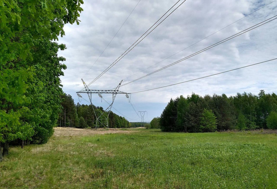 Pierwszą obecność człowieka w tej wsi na Podkarpaciu odnotowano w młodszej epoce kamienia