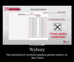 Wyborcze MEMY