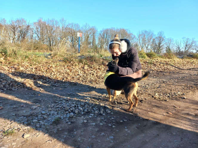 "Bieg + 4 Łapy" za nami. Wyjątkowy dzień w schronisku w Henrykowie koło Leszna