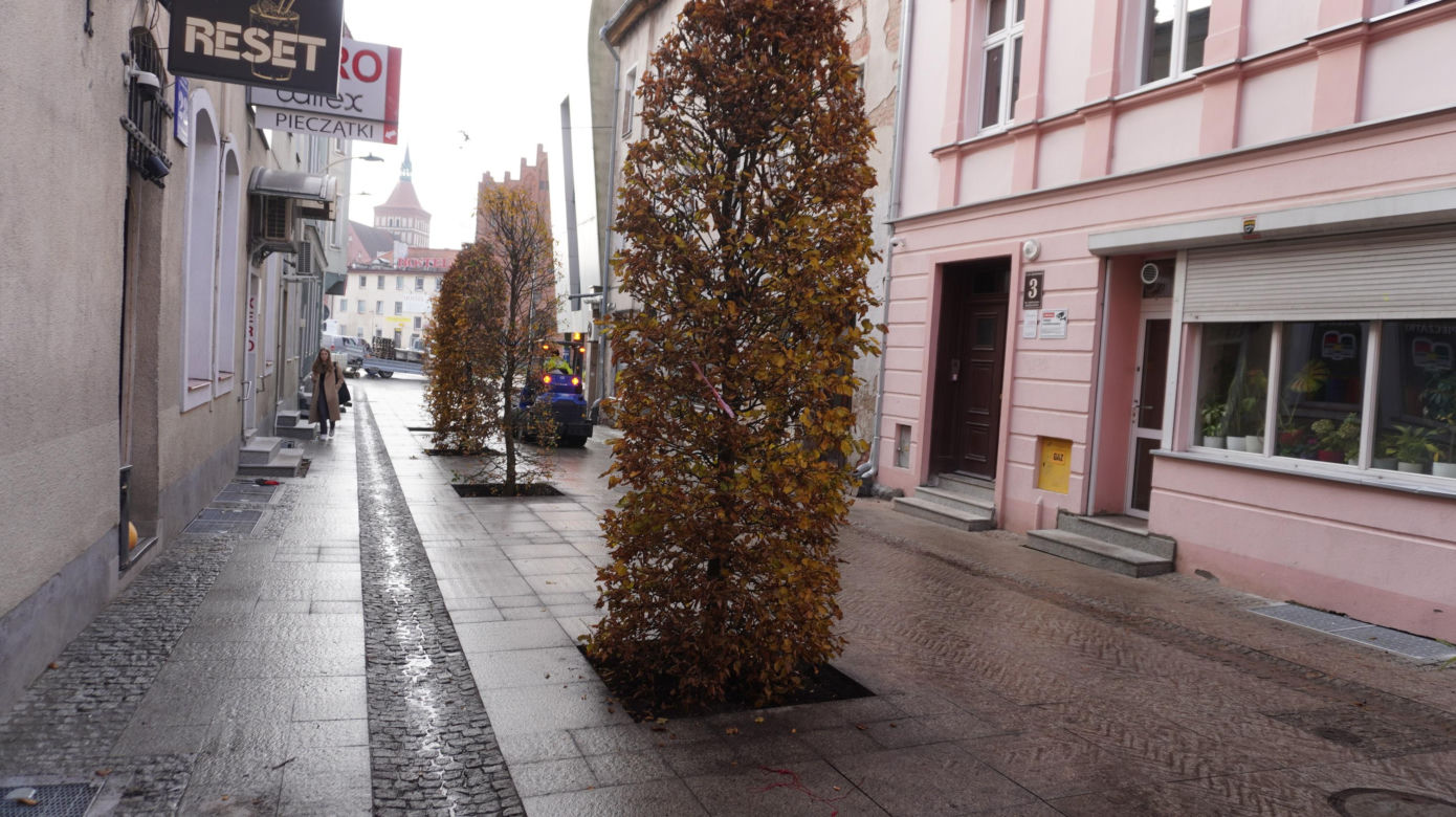 Alejka w centrum Olsztyna zmieniła się nie do poznania. Będzie najpiękniejsza w mieście? [ZDJĘCIA]
