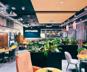 Metalowiec w Muszynie