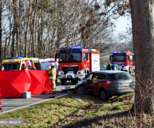Wypadek na drodze wojewódzkiej nr 395 pod Ziębicami 