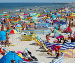 Parawany na plaży