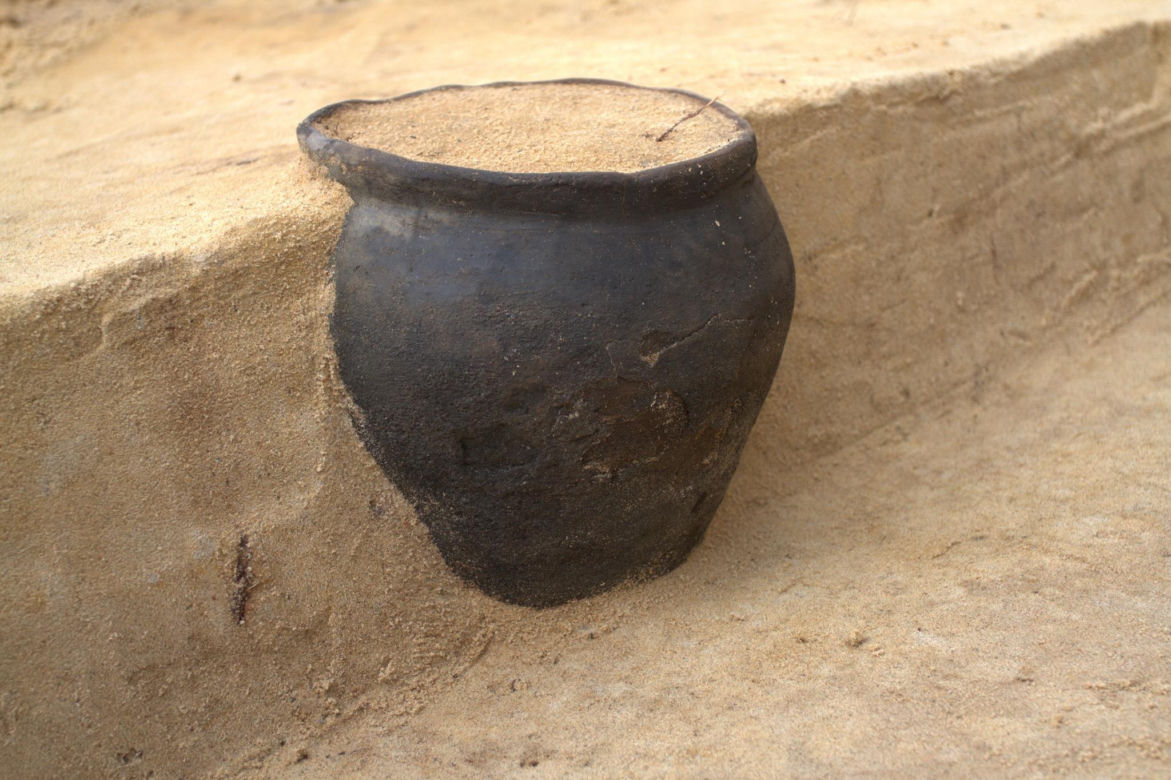 Niezwykłe odkrycie archeologiczne w Osiu pod Świeciem. W lesie jest cmentarzysko starożytnych Gotów