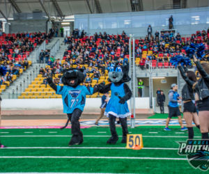 Pantery wygrywają na Stadionie Olimpijskim