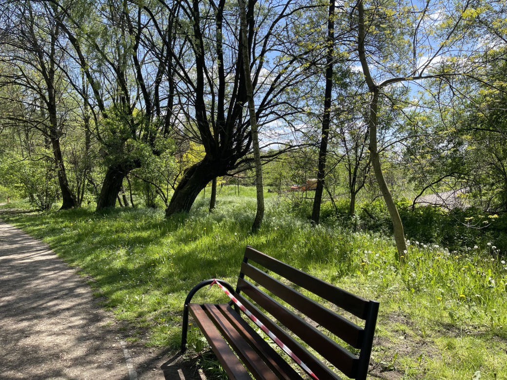 Kraków ma najdłuższy park w Polsce. Poznajcie Młynówkę Królewską! 