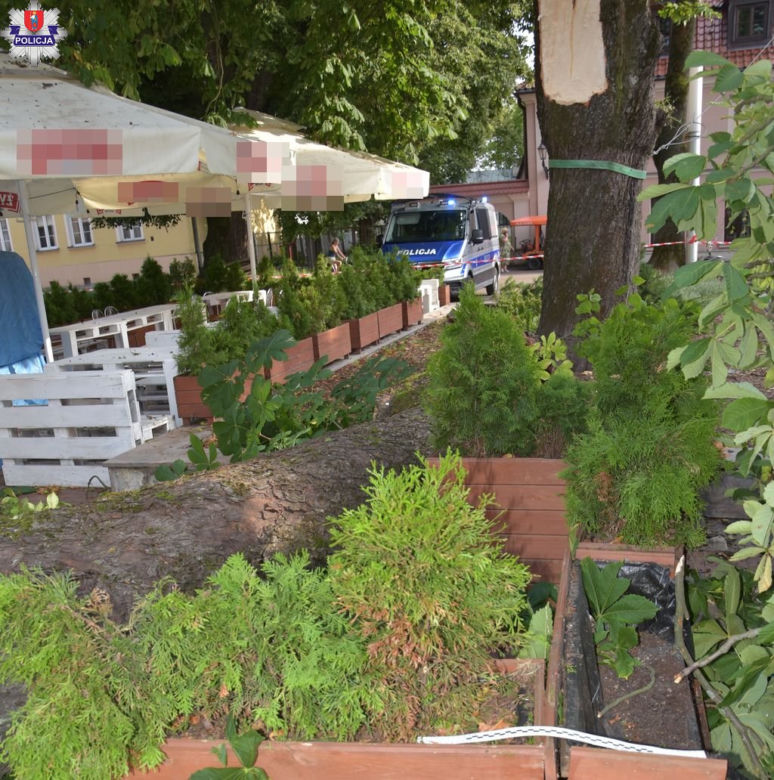 Zamość. Potężny konar runął na ludzi. 9 osób w szpitalu