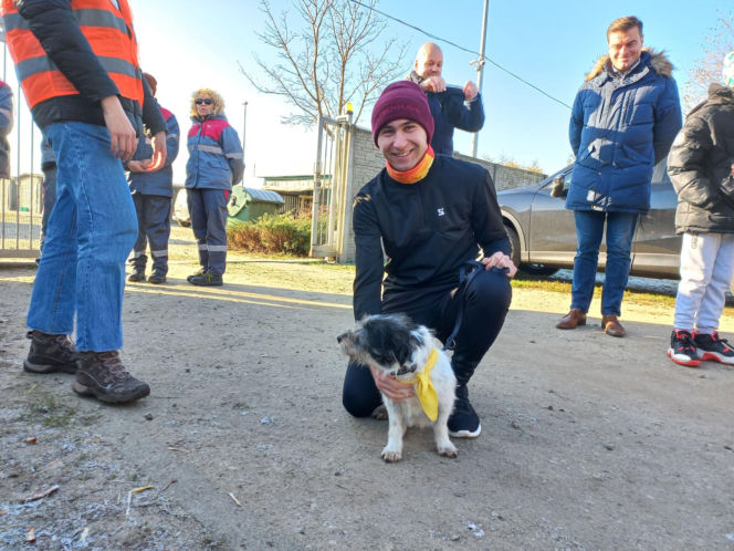 "Bieg + 4 Łapy" za nami. Wyjątkowy dzień w schronisku w Henrykowie koło Leszna
