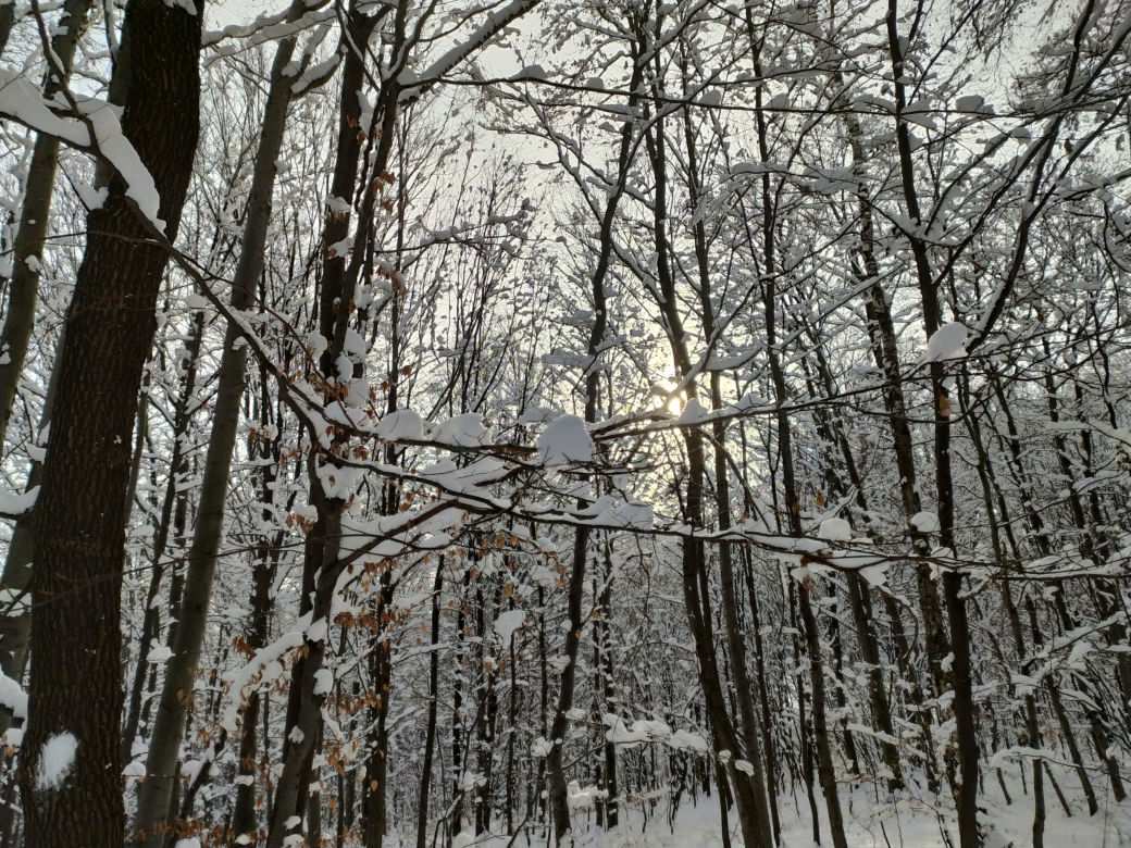 Zima w powiecie tarnowskim 