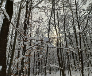 Zima w powiecie tarnowskim 