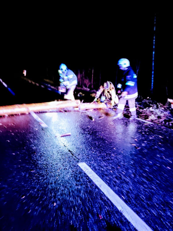 Usuwali drzewo z drogi i usłyszeli wołanie o pomoc. Strażacy byli w szoku