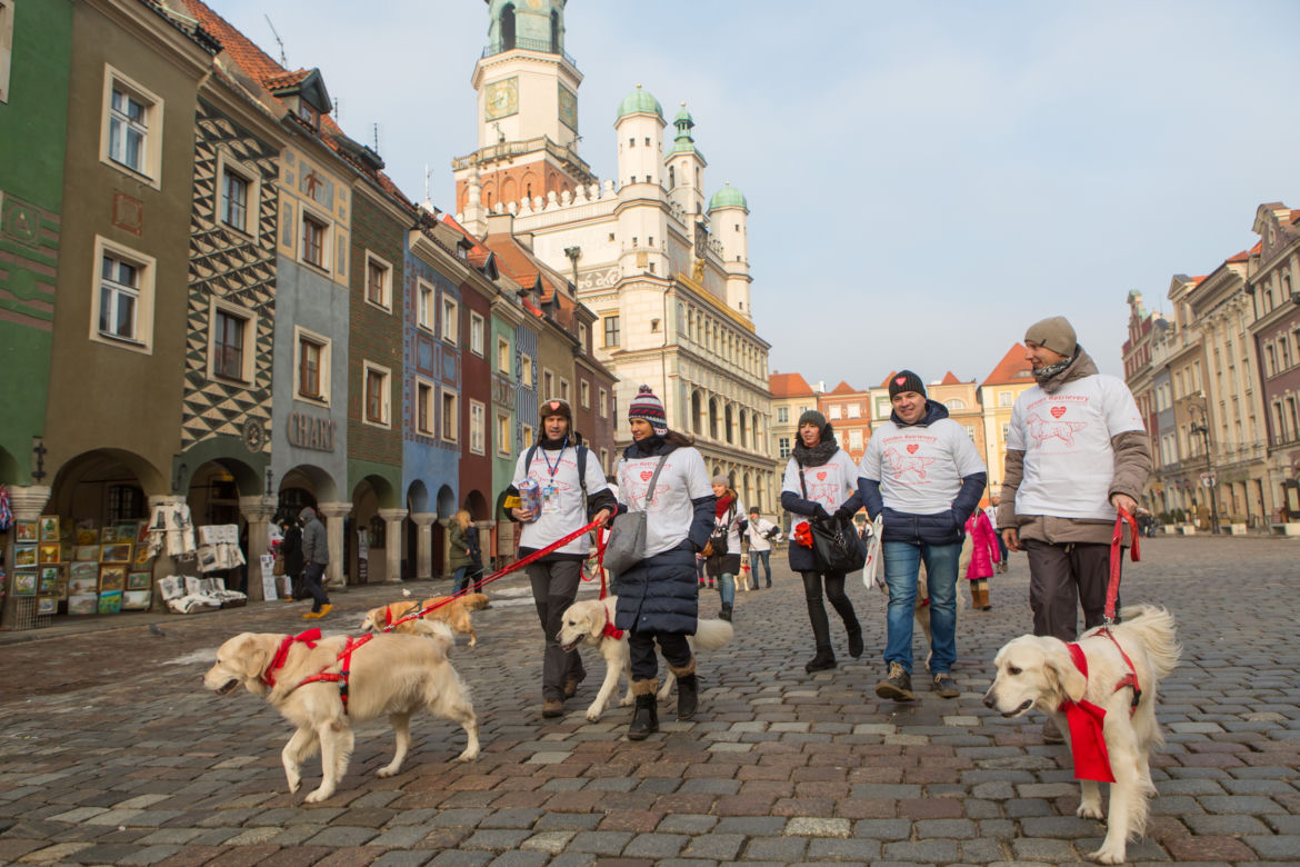 Finał Wielkiej Orkiestry Świątecznej Pomocy