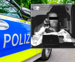 Fotoradar złapał go w Niemczech. Nie zgadniesz, co zrobili z kotem!