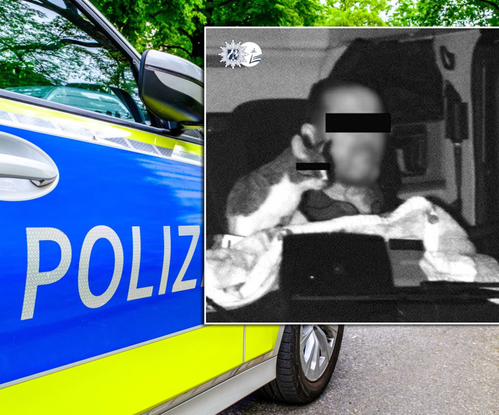 Niemcy dali kotu pasek na oczy