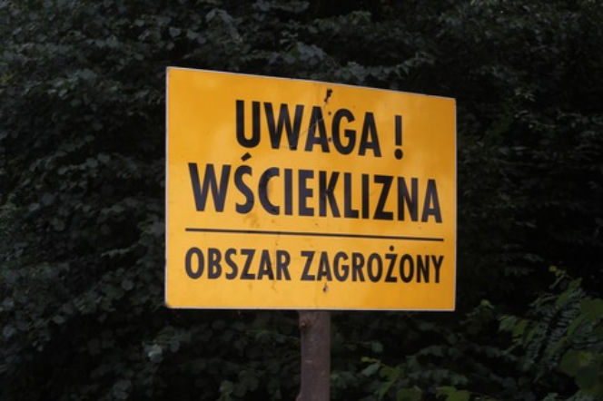 wścieklizna, znak,