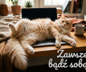 Kartka na Dzień Mężczyzny