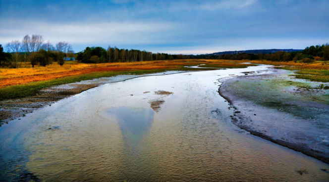 Rekordowo niski poziom wody w zalewie Brodzkim. Remont tamy i jazu Staszica w Brodach