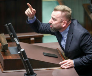 Liroy na polskiej scenie politycznej