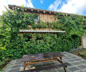 Inn Vivo - ekologiczny dom koło Szczecina