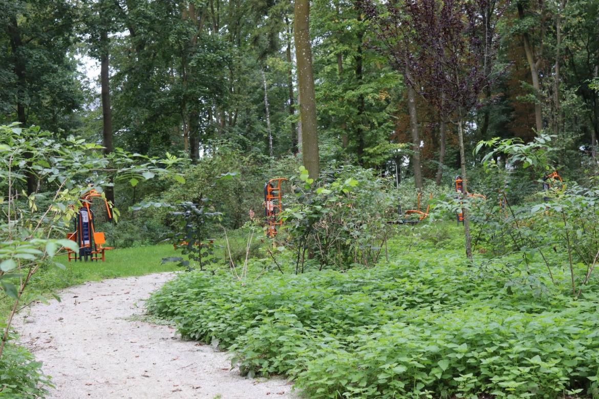 Zabytkowy park pod Lubawą zmienił się nie do poznania. Teraz wygląda jak z bajki