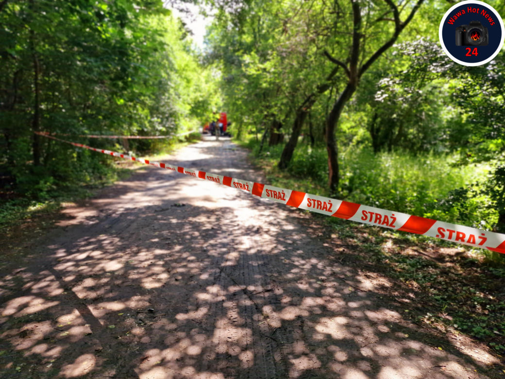 Poszukiwania zaginionego 31-latka pod Pruszkowem