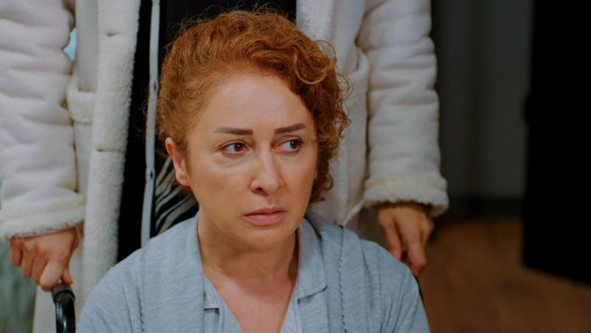 Miłość i nadzieja, odcinek 336. Hulya