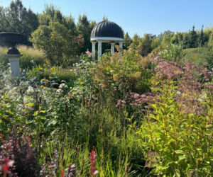 Ogrody Kapias w Goczałkowicach