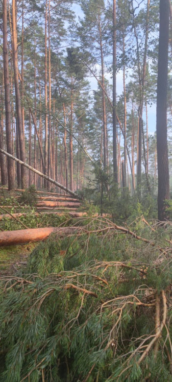 Koszmarny widok po nawałnicy w Osiu. Gigantyczne straty 