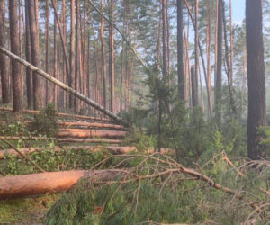 Koszmarny widok po nawałnicy w Osiu. Gigantyczne straty 