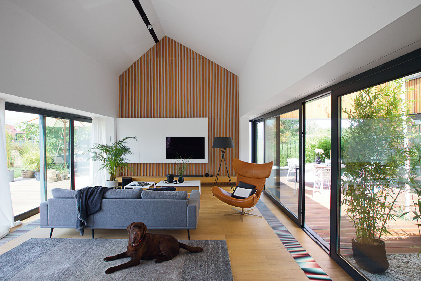 Mrowiec, Łomianki, Moomoo