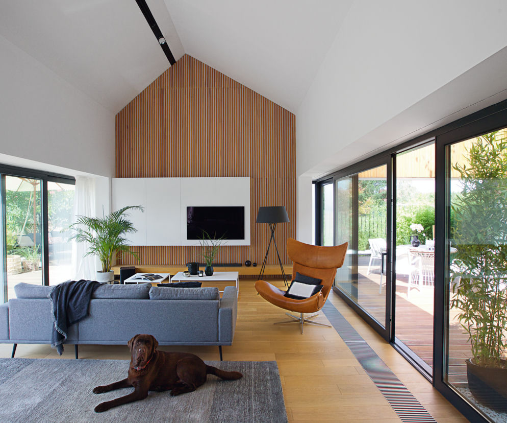 Wnętrze Białego domu w Łomiankach projektu moomoo architects, z drewnianą ścianą akcentową i dużymi przeszkleniami, wychodzącymi na taras. Na pierwszym planie brązowy labrador leży na szarym dywanie, a obok niego stoi nowoczesna szara sofa. Więcej o architekturze tego typu znajdziesz w Architektura Murator Plus.